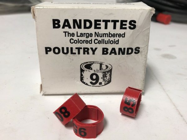 Bandettes-Size-9-Poultry-Numbered-RED-Spring-Clip-Celluloid-Leg-Bands-25Piece-114263673830