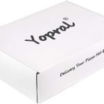YOPRAL Insulated Food Delivery Bag Pizza Delivery Bags Professional Pizza Warmer Carrier Bags Moisture Free for 2-16" or 2-18" (Black, 20"X20"X6")
